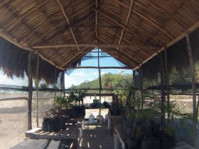 Greenhouse at Cerros Sands, Belize – Best Places In The World To Retire – International Living